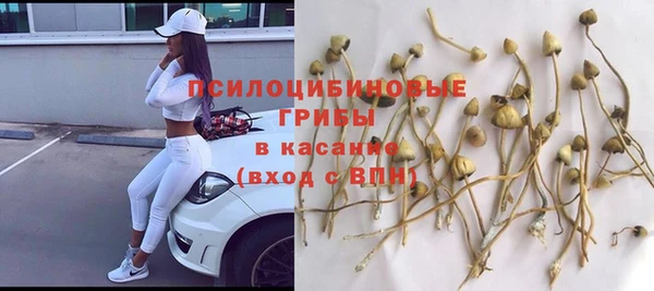 герыч Арсеньев