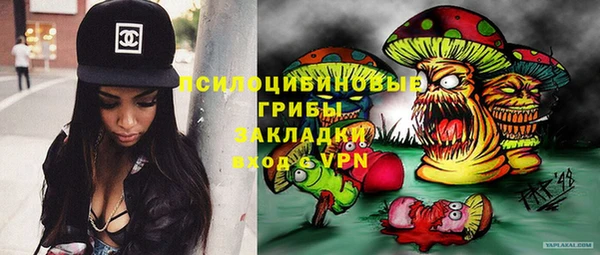 круглые Аркадак
