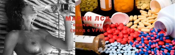 герыч Арсеньев